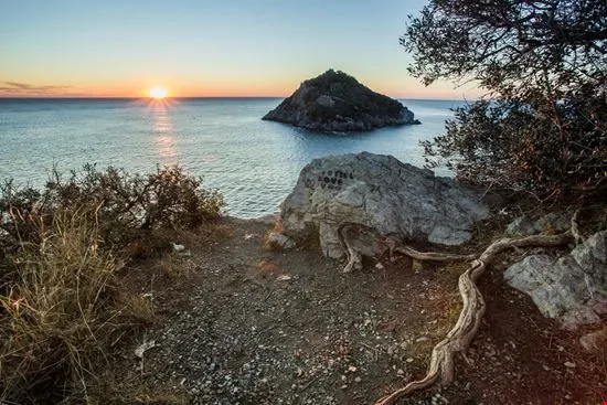 Tramonto con il sole basso sull'acqua, l'isola scura al centro e un ulivo contorto in primo piano