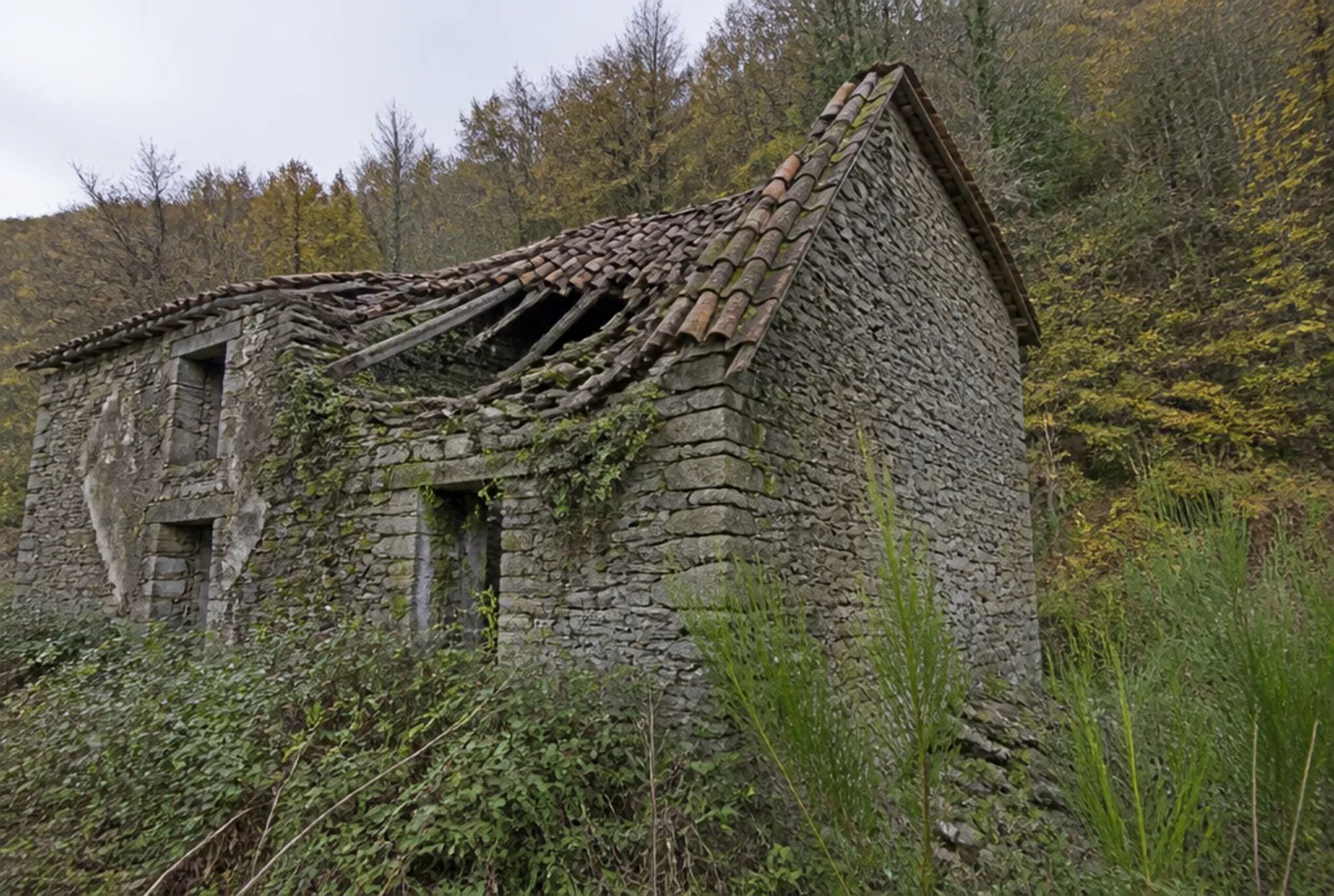 Casa rurale in pietra abbandonata: il tetto è crollato per metà, l'edera copre una parete, le finestre sono vuote e attorno cresce la vegetazione alta