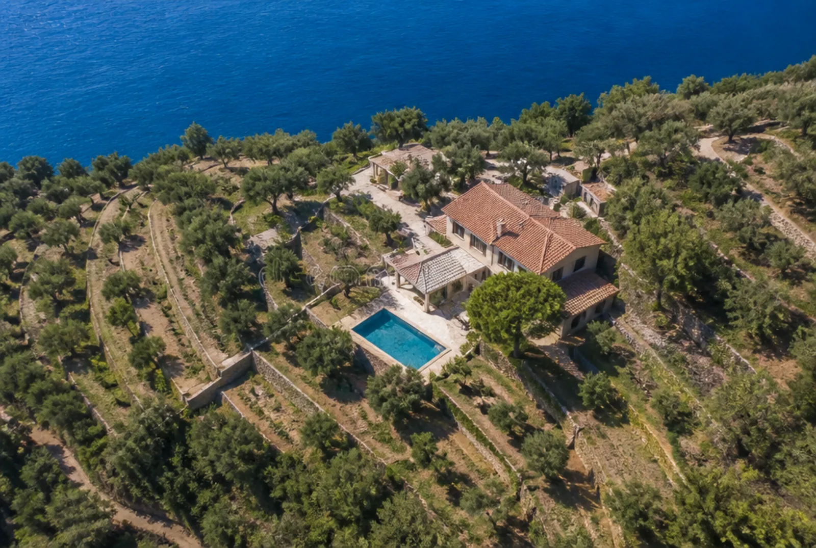 Veduta dall'alto di una villa con tetto in coppi e piscina rettangolare, dentro un uliveto a fasce chiuse da muri a secco, il mare aperto sopra
